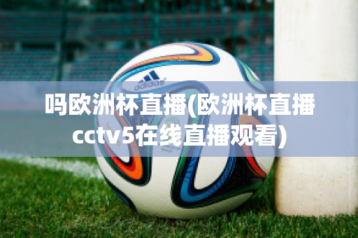 吗欧洲杯直播(欧洲杯直播cctv5在线直播观看)