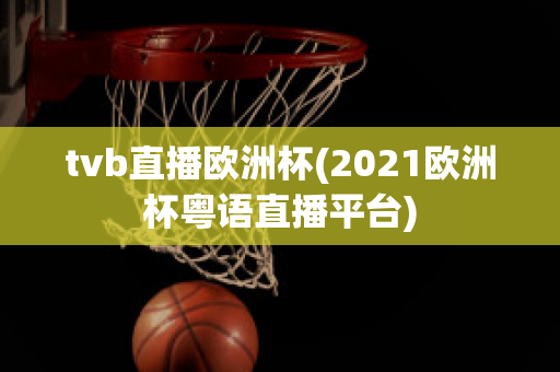 tvb直播欧洲杯(2021欧洲杯粤语直播平台)