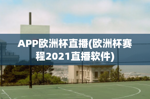 APP欧洲杯直播(欧洲杯赛程2021直播软件)