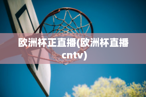 欧洲杯正直播(欧洲杯直播 cntv)