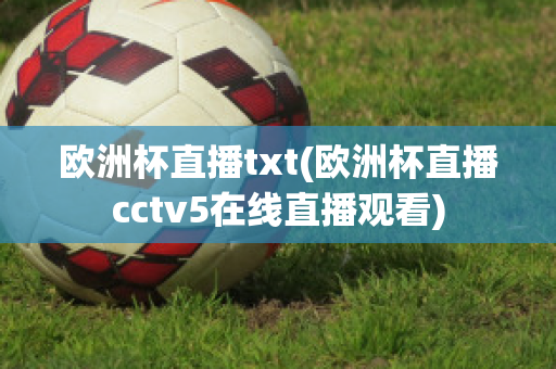 欧洲杯直播txt(欧洲杯直播cctv5在线直播观看)