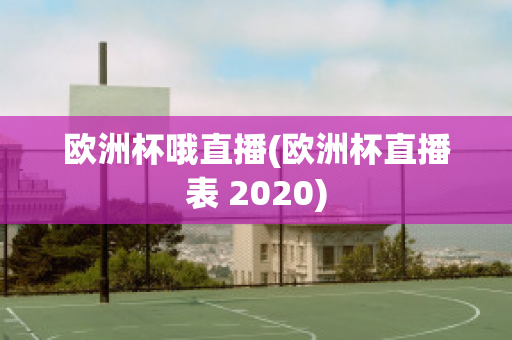 欧洲杯哦直播(欧洲杯直播表 2020)