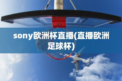 sony欧洲杯直播(直播欧洲足球杯)