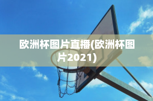 欧洲杯图片直播(欧洲杯图片2021)