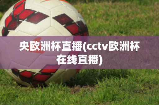 央欧洲杯直播(cctv欧洲杯在线直播)