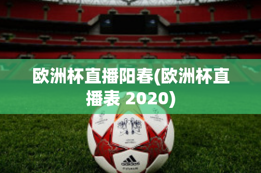 欧洲杯直播阳春(欧洲杯直播表 2020)