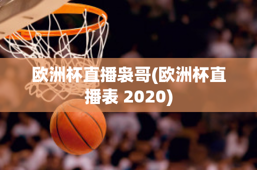 欧洲杯直播袅哥(欧洲杯直播表 2020)