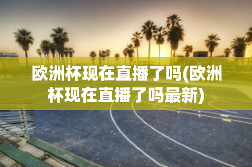 欧洲杯现在直播了吗(欧洲杯现在直播了吗最新)