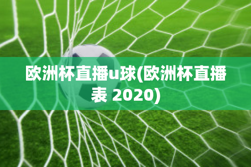 欧洲杯直播u球(欧洲杯直播表 2020)