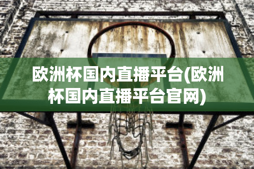 欧洲杯国内直播平台(欧洲杯国内直播平台官网)