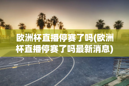 欧洲杯直播停赛了吗(欧洲杯直播停赛了吗最新消息)