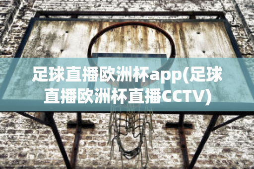 足球直播欧洲杯app(足球直播欧洲杯直播CCTV)