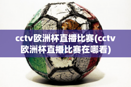 cctv欧洲杯直播比赛(cctv欧洲杯直播比赛在哪看)