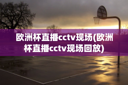 欧洲杯直播cctv现场(欧洲杯直播cctv现场回放)