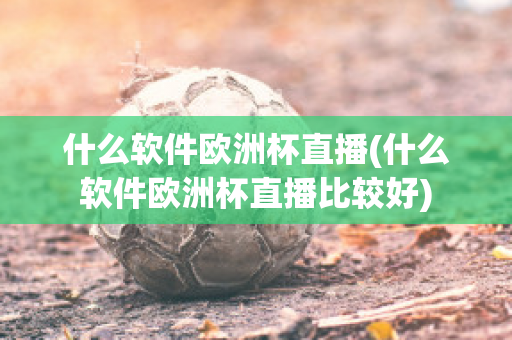 什么软件欧洲杯直播(什么软件欧洲杯直播比较好)