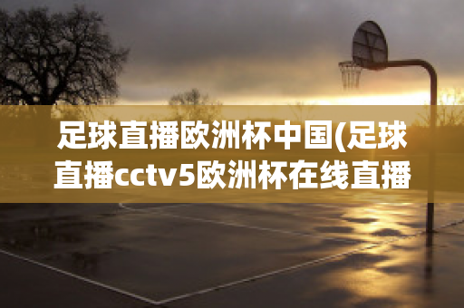 足球直播欧洲杯中国(足球直播cctv5欧洲杯在线直播)