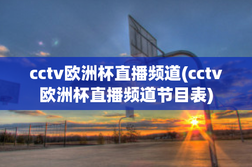 cctv欧洲杯直播频道(cctv欧洲杯直播频道节目表)