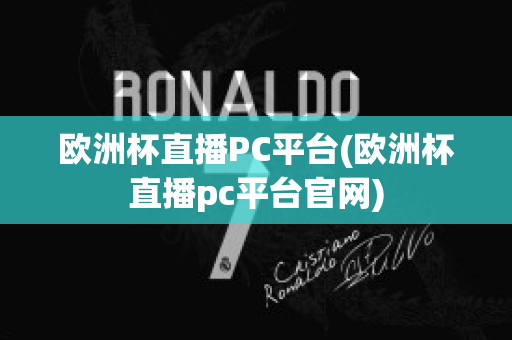 欧洲杯直播PC平台(欧洲杯直播pc平台官网)