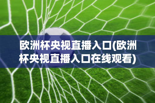 欧洲杯央视直播入口(欧洲杯央视直播入口在线观看)