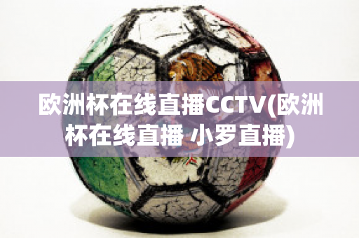 欧洲杯在线直播CCTV(欧洲杯在线直播 小罗直播)