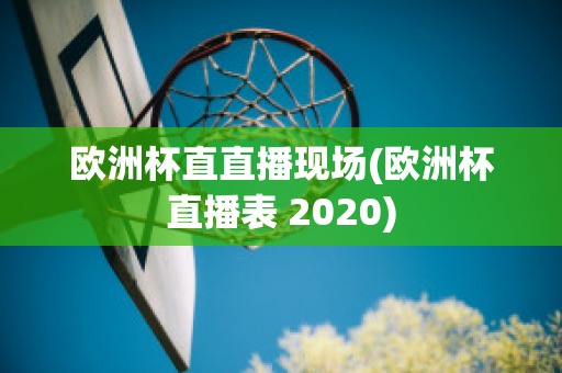 欧洲杯直直播现场(欧洲杯直播表 2020)