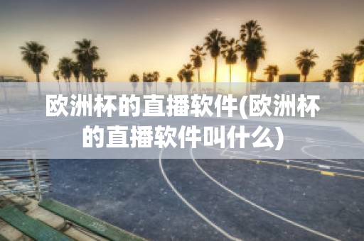 欧洲杯的直播软件(欧洲杯的直播软件叫什么)