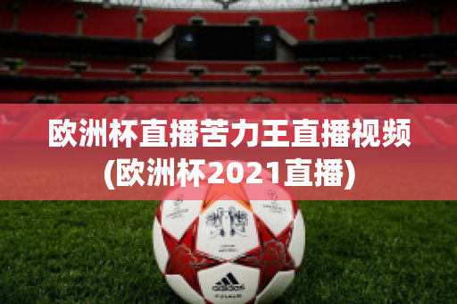 欧洲杯直播苦力王直播视频(欧洲杯2021直播)