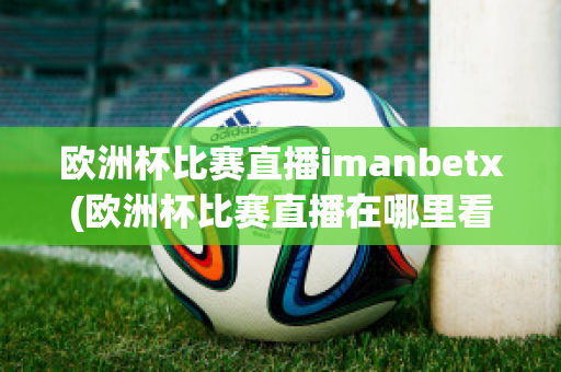 欧洲杯比赛直播imanbetx(欧洲杯比赛直播在哪里看)