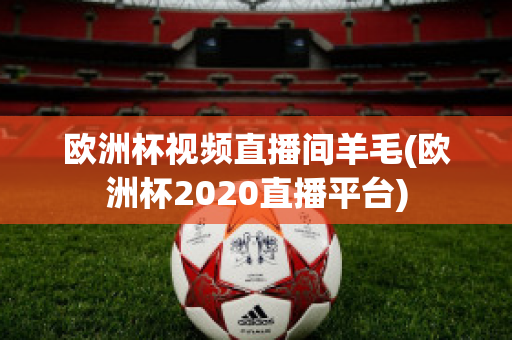 欧洲杯视频直播间羊毛(欧洲杯2020直播平台)