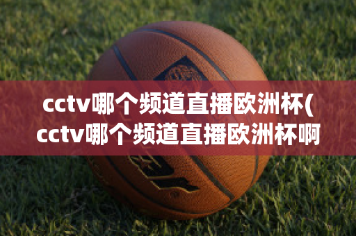 cctv哪个频道直播欧洲杯(cctv哪个频道直播欧洲杯啊)