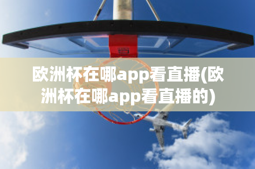 欧洲杯在哪app看直播(欧洲杯在哪app看直播的)