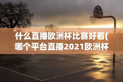 什么直播欧洲杯比赛好看(哪个平台直播2021欧洲杯)