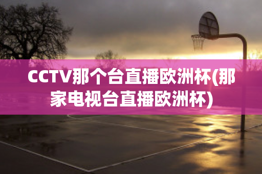 CCTV那个台直播欧洲杯(那家电视台直播欧洲杯)