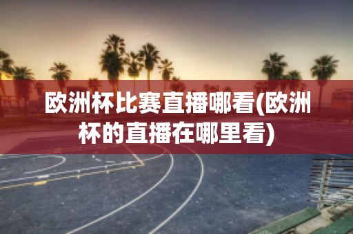 欧洲杯比赛直播哪看(欧洲杯的直播在哪里看)