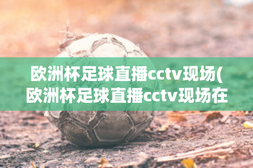 欧洲杯足球直播cctv现场(欧洲杯足球直播cctv现场在线观看)