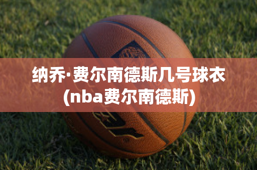 纳乔·费尔南德斯几号球衣(nba费尔南德斯)