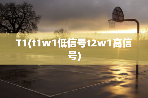 T1(t1w1低信号t2w1高信号)