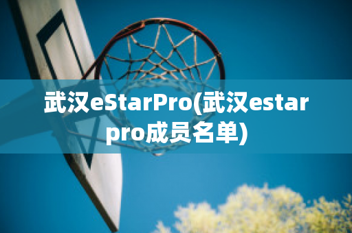 武汉eStarPro(武汉estarpro成员名单)