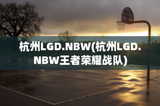 杭州LGD.NBW(杭州LGD.NBW王者荣耀战队)