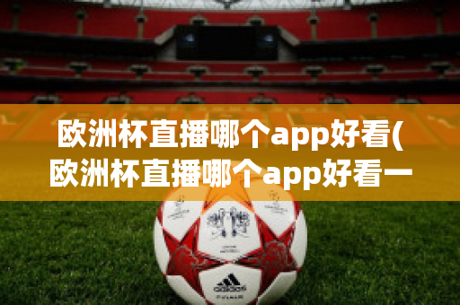 欧洲杯直播哪个app好看(欧洲杯直播哪个app好看一点)