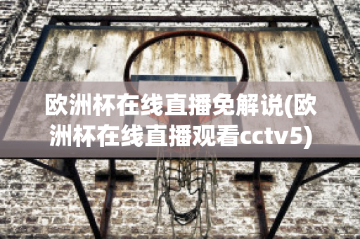 欧洲杯在线直播免解说(欧洲杯在线直播观看cctv5)