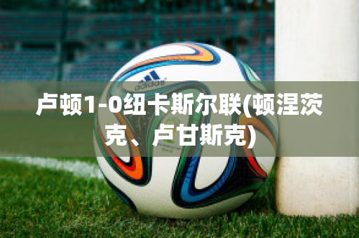 卢顿1-0纽卡斯尔联(顿涅茨克、卢甘斯克)