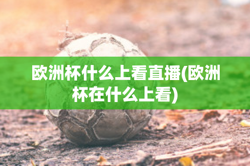 欧洲杯什么上看直播(欧洲杯在什么上看)