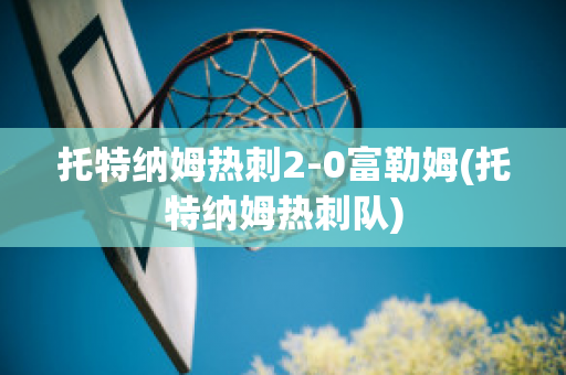 托特纳姆热刺2-0富勒姆(托特纳姆热刺队)