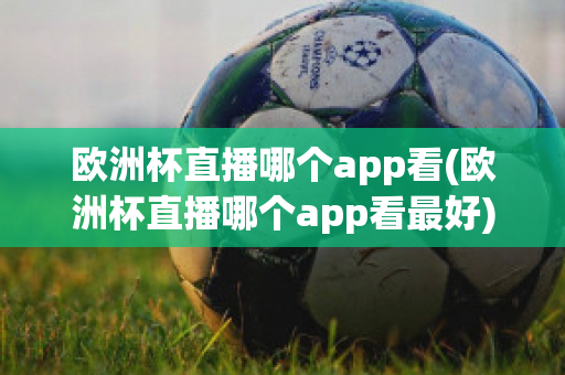 欧洲杯直播哪个app看(欧洲杯直播哪个app看最好)