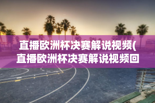 直播欧洲杯决赛解说视频(直播欧洲杯决赛解说视频回放)