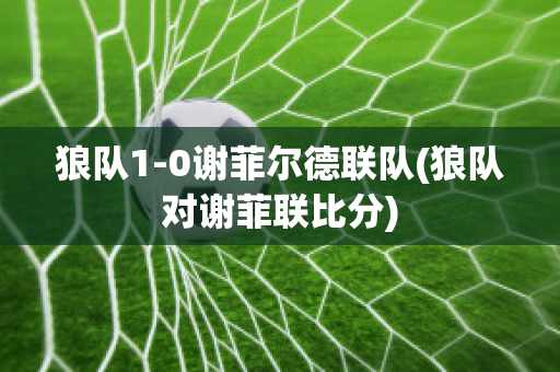 狼队1-0谢菲尔德联队(狼队对谢菲联比分)