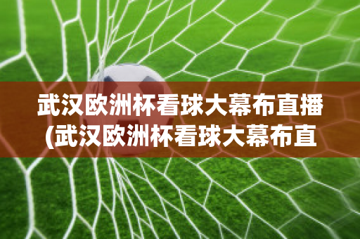 武汉欧洲杯看球大幕布直播(武汉欧洲杯看球大幕布直播视频)