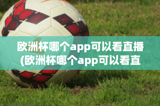 欧洲杯哪个app可以看直播(欧洲杯哪个app可以看直播回放)