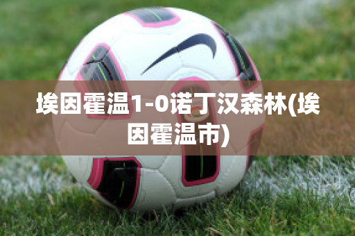 埃因霍温1-0诺丁汉森林(埃因霍温市)